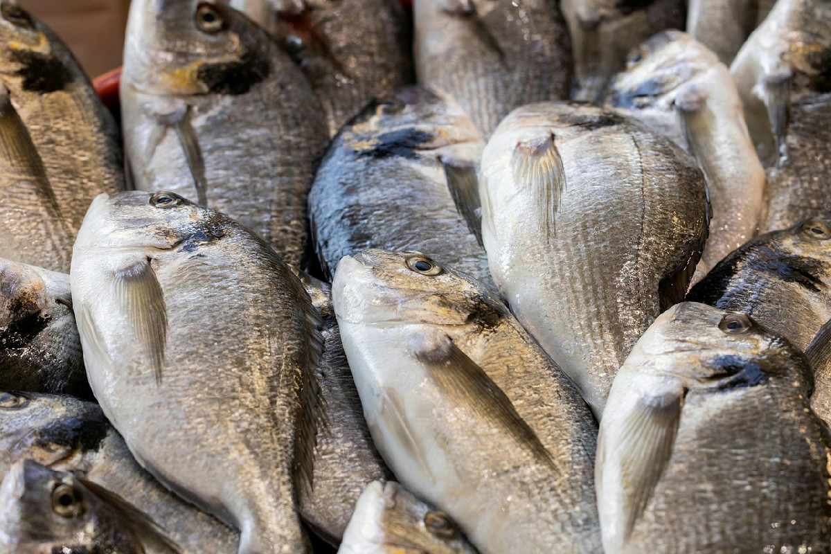 Eliminare l’odore di pesce dalla cucina con il metodo semplice del sale grosso