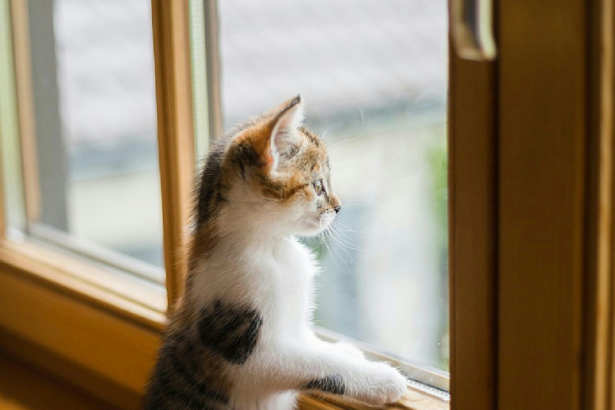 Temperatura in calo improvviso: consigli semplici per mantenere la casa calda senza aumentare le spese